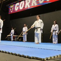 Iniciativa Nihon Budo Sai